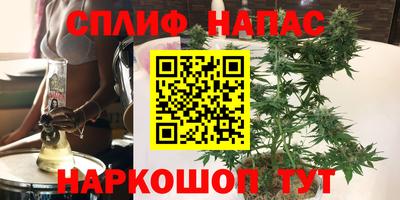 ПСИЛОЦИБИНОВЫЕ ГРИБЫ Бузулук