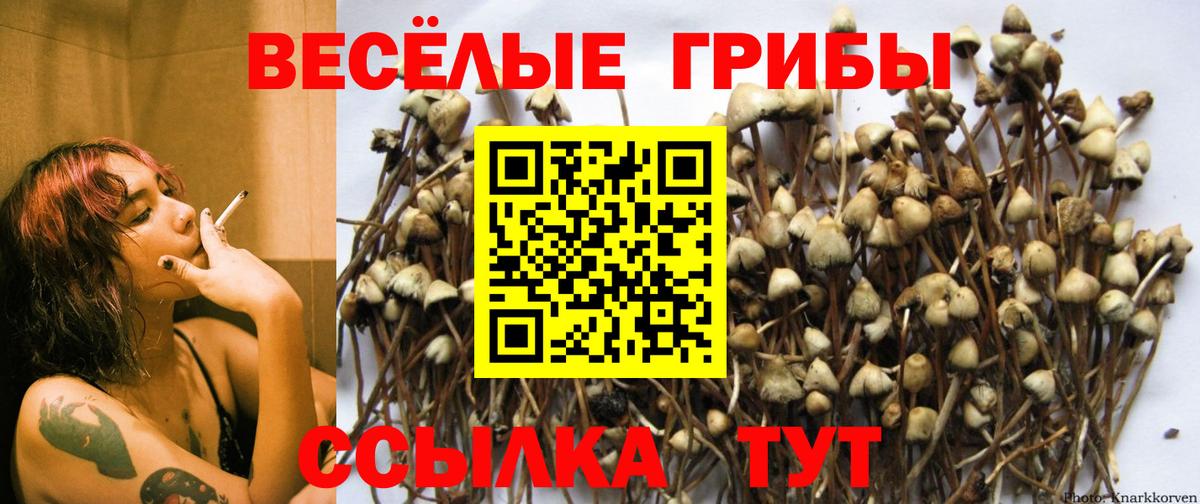 ГАШ  КОКАИН  Кондопога  МЕФ   Вход с VPN  Каннабис 